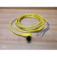Allen Bradley 889D-R4AC-2 QD Cordset 889DR4AC2 - New No Box