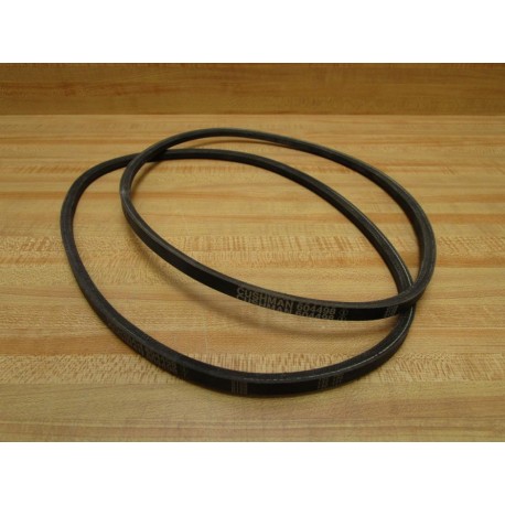 Cushman 604498 V-Belt (Pack of 2)