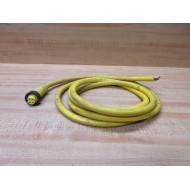 Brad Connectivity 104000A01F120 Cordset 1300060737 - Used