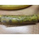 Brad Connectivity 104000A01F120 Cordset 1300060737 - Used