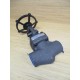 Lunkenheimer 1711W 1-12" Valve 1711W - New No Box