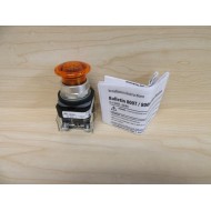 Allen Bradley 800T-QM24A Illuminated Push Button 800TQM24A - New No Box