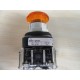 Allen Bradley 800T-QM24A Illuminated Push Button 800TQM24A - New No Box