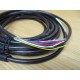 Allen Bradley 889D-F8AB-5 DC Micro Cable 889DF8AB5