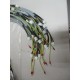 Heat & Control 000077397610 Harness Set 3328070