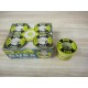 Bussmann W-25 Plug Fuse  W25 Buss (Pack of 5)