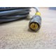 Turck U2173-10 Cable RK 4.4T-10 - New No Box