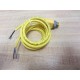 Lumberg E24546 Cable - New No Box