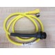 Turck WKC-4T-4 U5307 Cable  WKC4T4 - New No Box