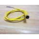 Turck PKG-3M-6 Cable PKG3M6 Shorten Wire - Used