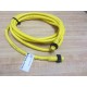 Pepperl + Fuchs 906470 Cable V94-G-YE4M-ST00W-V94-G - New No Box