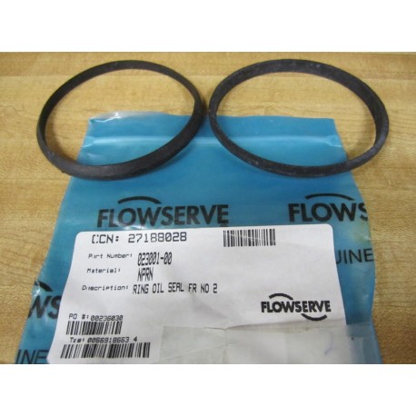 Flowserve 023001-00 Ring Seal 02300100 (Pack of 2)