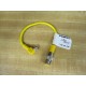 Turck PKW3M-0.2-RS4T Cordset U0964-99 - New No Box