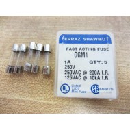 Ferraz GGM1 Shawmut Fast Acting Fuse 1A 250V (Pack of 5)