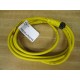 Pepperl + Fuchs V124-G-YE2M-PVC Connector Cable 903461 - New No Box