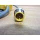 Turck VB2-RS4.5T-22VAS22-A528-0.30.3 Cable U2-05355