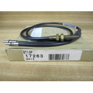 Banner BT13P Fiber Optic Cable 17263 3' Cable