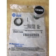 Allen Bradley 800EM-F209W Flush Push Button 800EMF209W