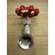 FNW CF8M-200 Stainless Steel Gate Valve 1"