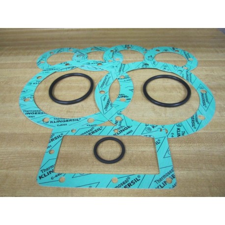 A. P. Services 1000101417 Gasket Set C-4401