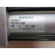 Numatics RG-498393-1 Pneumatic Cylinder