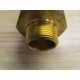 Rego 3135G Safety Relief Valve - New No Box