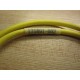 Compaq 171891-002 Audio Cable - New No Box