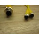 Turck VBRS 4.4-2PKG 3M-0.30.3 Cable