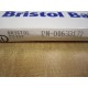 Bristol Babcock 55137 100 Count Recording Charts
