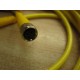 Turck PKG 3M-5-PSG-3M Molded Cordset Cable