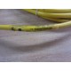 Brad Connectivity 1200720185 Micro-Change Cable
