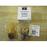 Ross 947K87 Pacer Service Kit Hi-Temp