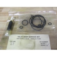 Ross 808K87 Valve Service Kit 34" WO Valve