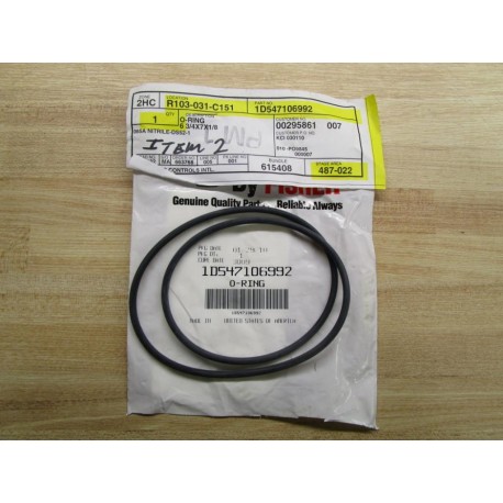 Fisher Controls 1D547106992 O-Ring