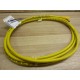 Turck PKW-4M-2 U2512-33 Cable PKW4M2 - New No Box