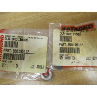 Raymond 850135117 Pack Of 2 Caps