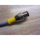 Turck WK 4.4T-1-RS 4.4T U2441-1 Cable WK44T1RS44T - New No Box