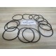 BM30-0700 O-Ring (Pack of 12)