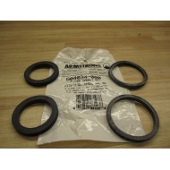 Armstrong 804034-000 Flange Gasket Set