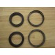 Armstrong 804034-000 Flange Gasket Set