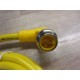 Turck WSM-36-2M Cable U2694-2 - New No Box