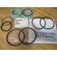 Johnstone 300-701PSK Foot Valve Assy. Seal Kit 300701PSK