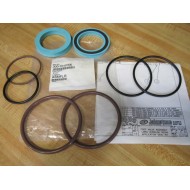Johnstone 300-701PSK Foot Valve Assy. Seal Kit 300701PSK