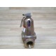 Bell & Gossett 110121 ASME Relief  Valve 34" 790-30