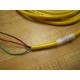 Turck KB-3T-4 Assembly Cable KB3T4 U2412-00 - New No Box