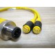 Turck VBRS 4.4-2PKG 3Z-0.30.3 Cable U0117-37