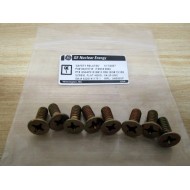 General Electric QN84P21010B13 Flat Head Screw (Pack of 8)