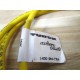 Turck KB 3T-2-SB 3T Cable  U24250 - Used