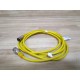 Turck KB 3T-2-SB 3T Cable  U24250 - Used