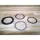 Fisher Controls RGASKETX172 Design E Gaskets